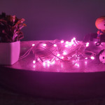 Mpro-CTP 20 Meter Long Light With 60 LED BULB - Pink Color - Sessional Indoor String Lights