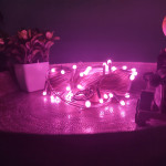 Mpro-CTP 20 Meter Long Light With 60 LED BULB - Pink Color - Sessional Indoor String Lights