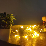 Mpro-CTP 20 Meter Long Light With 60 LED BULB - Yellow Color - Sessional Indoor String Lights